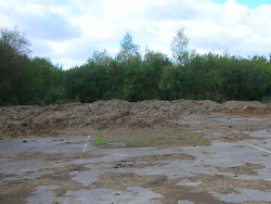 Sep 2013: 1B hardstanding with gorse cuttings